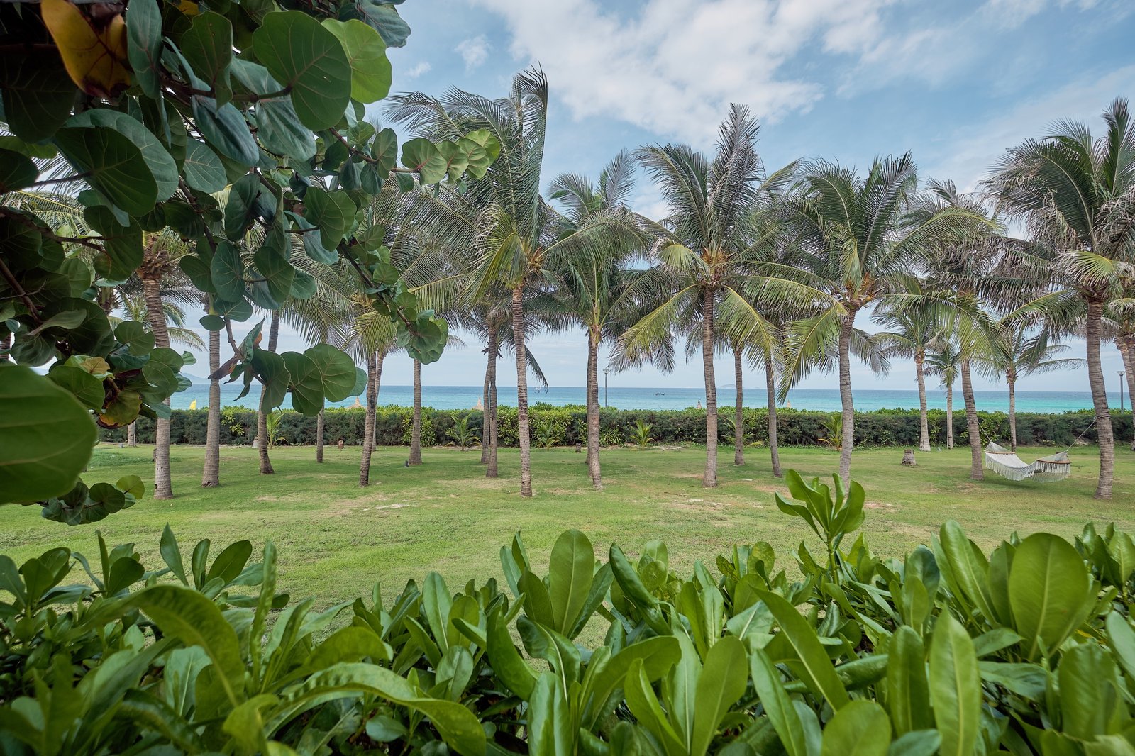 Beachfront terrace