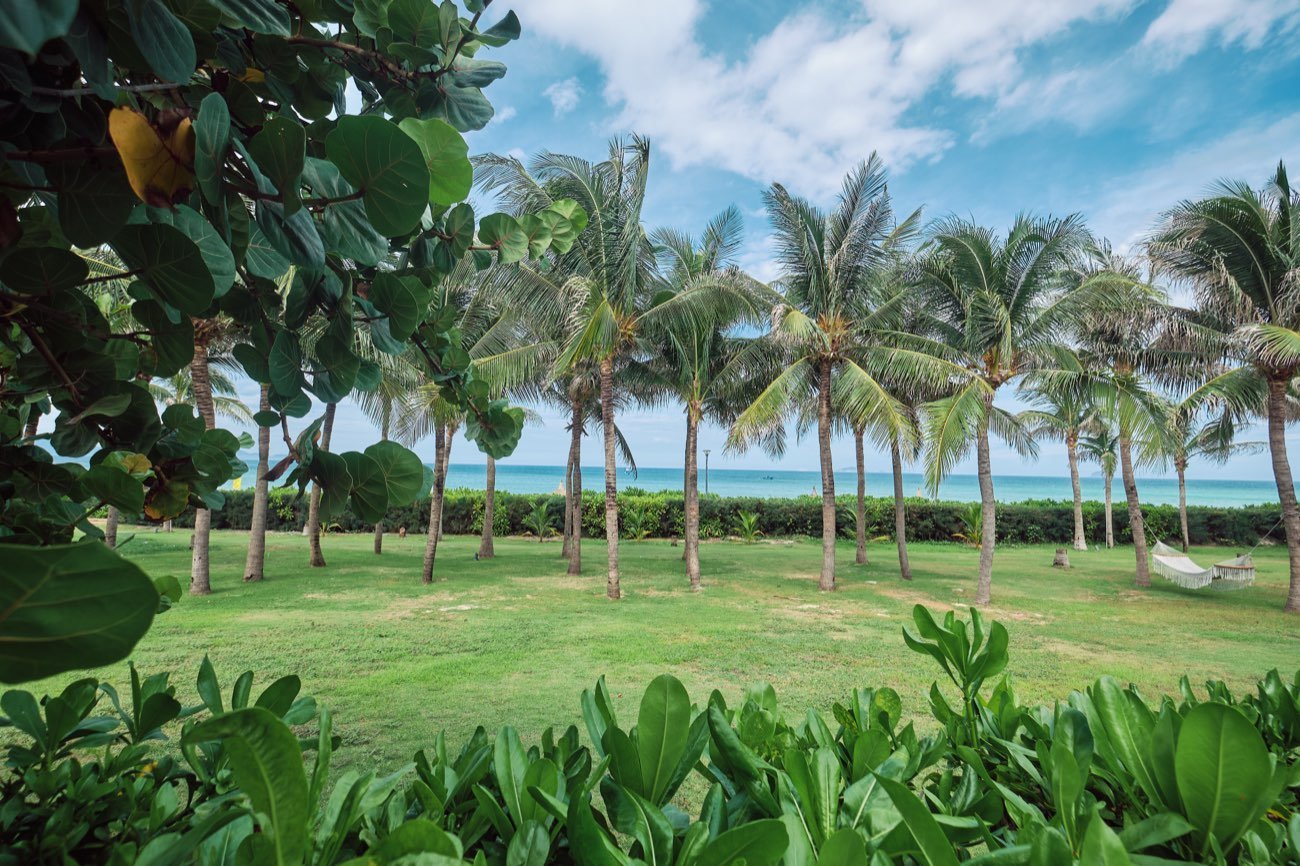 Garden lawn with ocean view