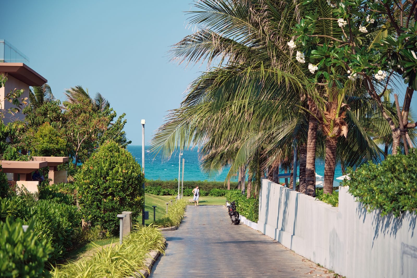 Palm-lined path to Long Beach at Cam Ranh Bay