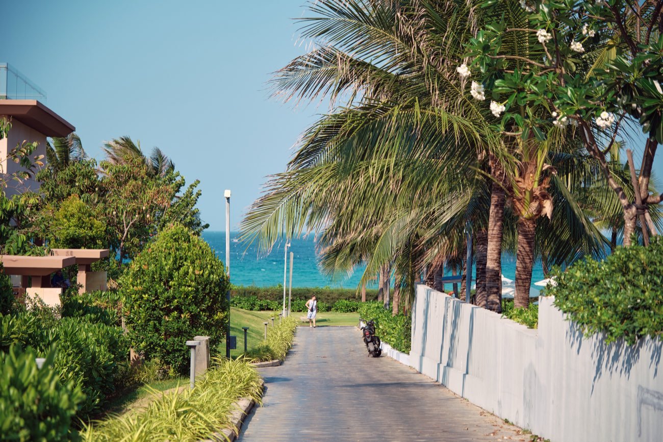 Palm-lined resort pathway